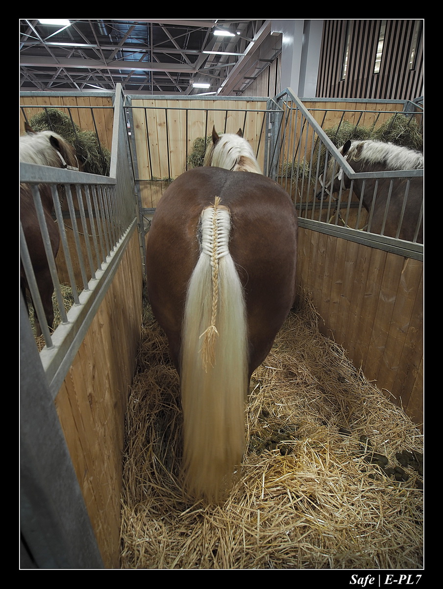 2020 - 02 - Salon agriculture 14